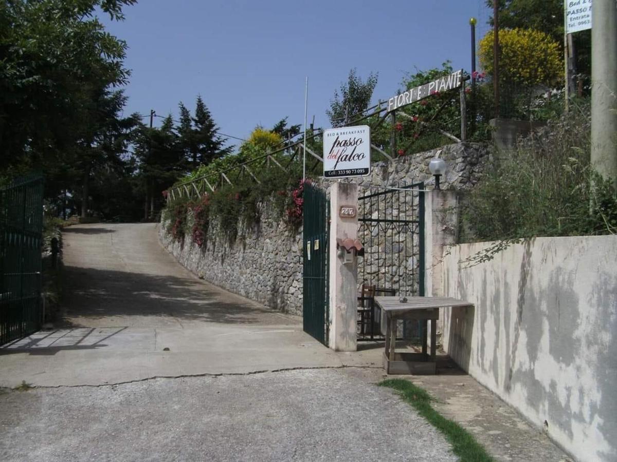 B&B Passo Del Falco Sorianello Экстерьер фото
