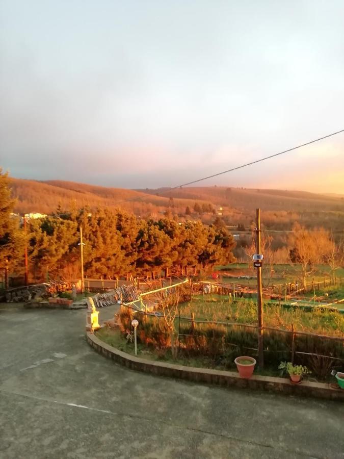 B&B Passo Del Falco Sorianello Экстерьер фото