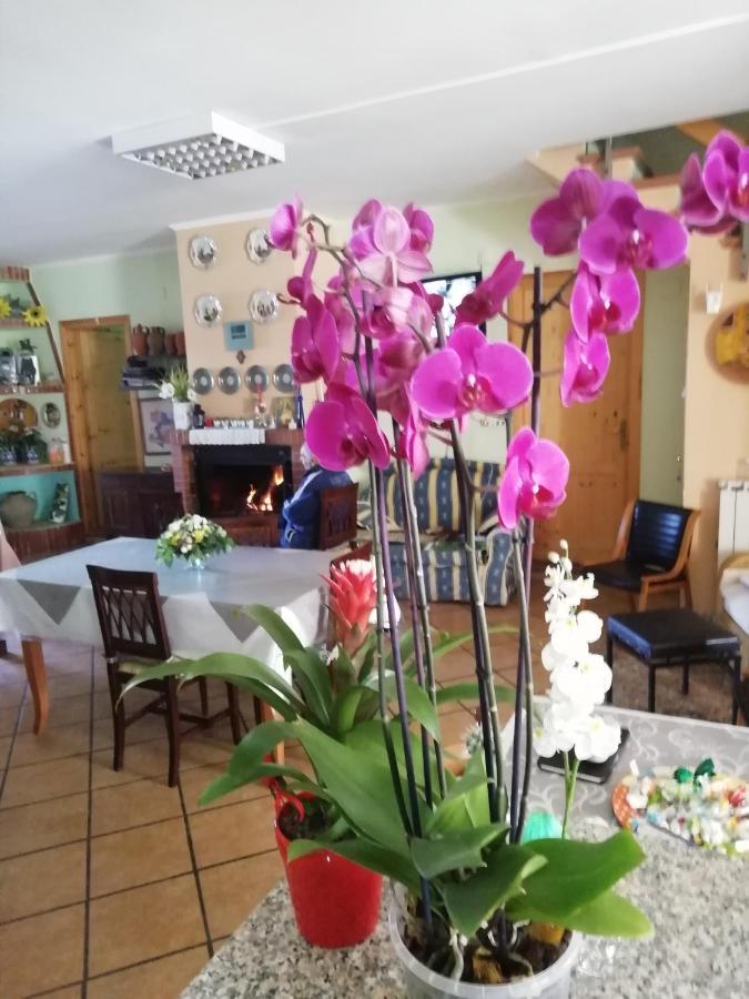 B&B Passo Del Falco Sorianello Экстерьер фото